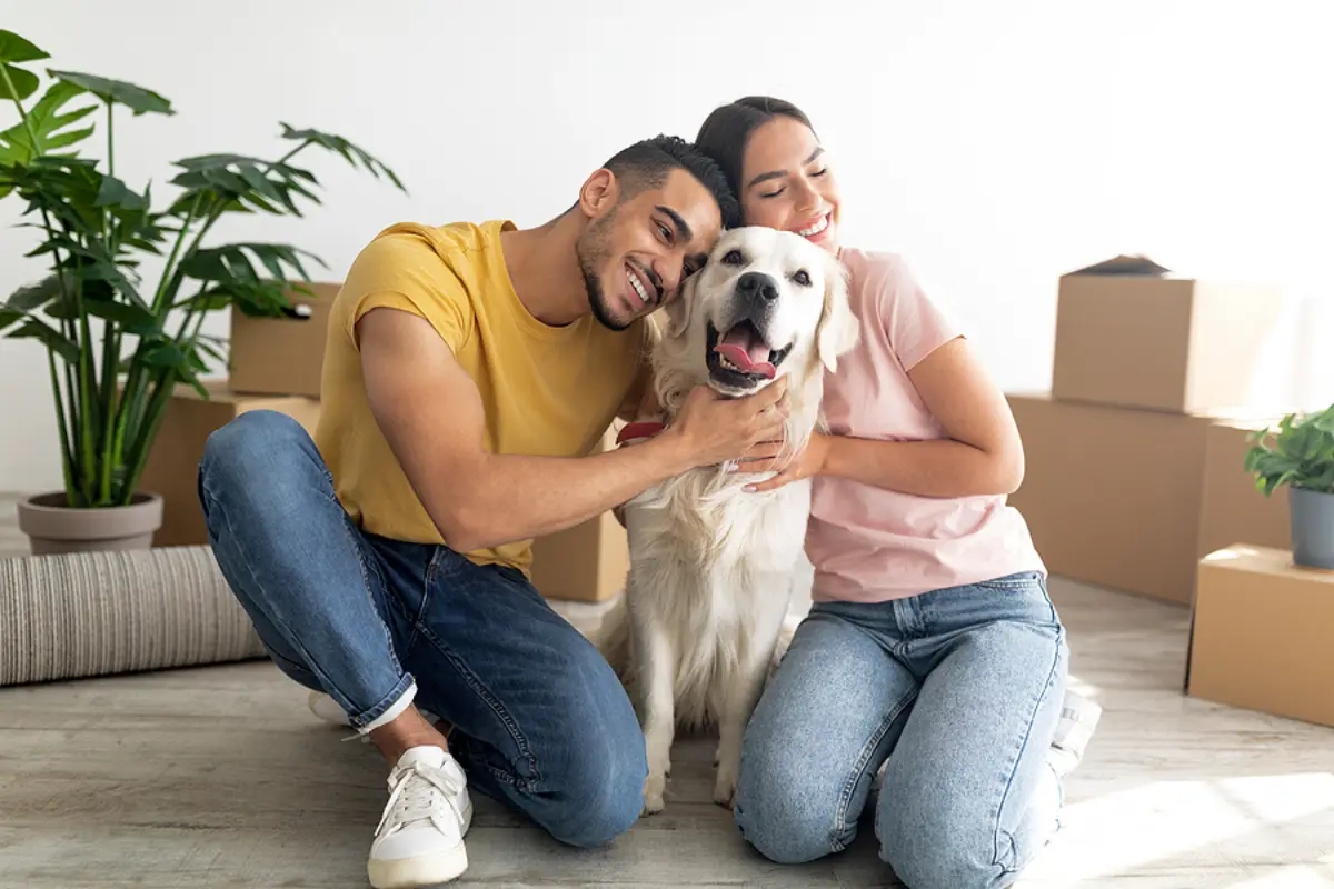 Welcoming Pets Without Worry: A Bellevue Landlord’s Guide to Creating Strong Pet Policies